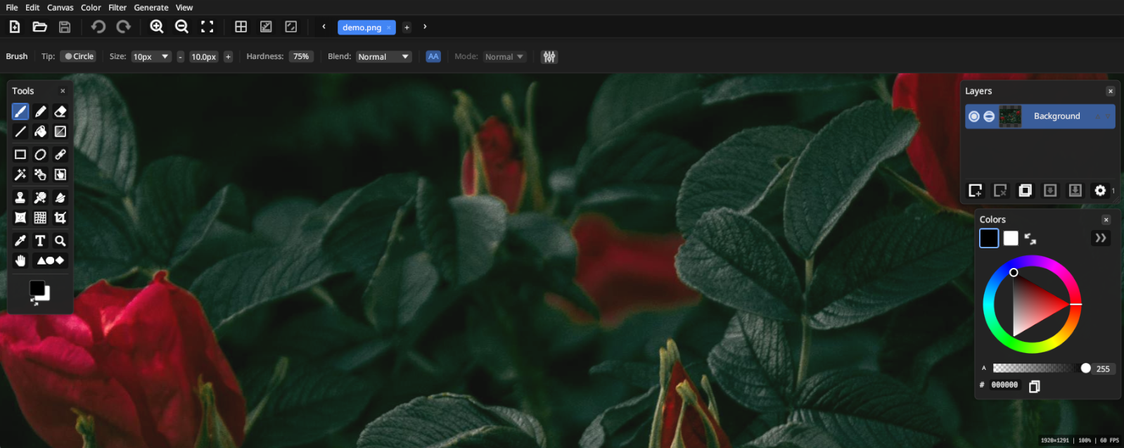 PaintFE application screenshot — dark theme
