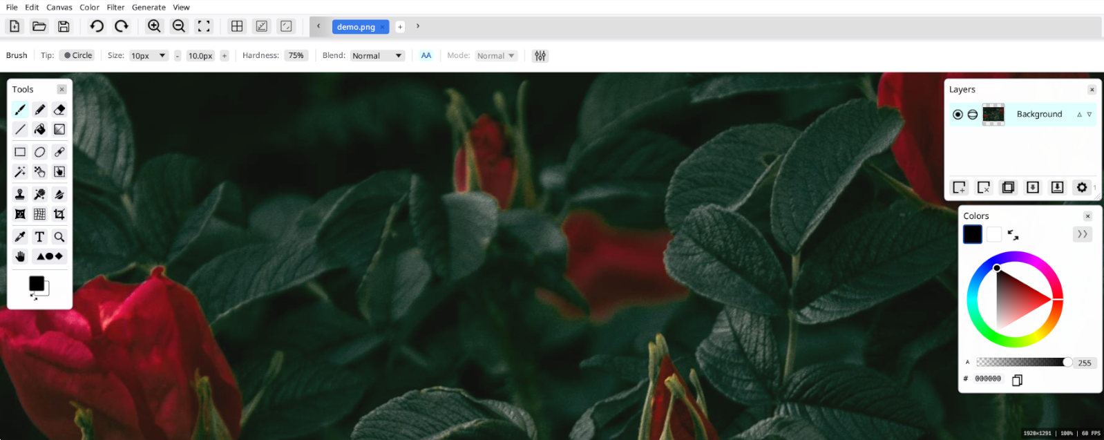 PaintFE application screenshot — light theme