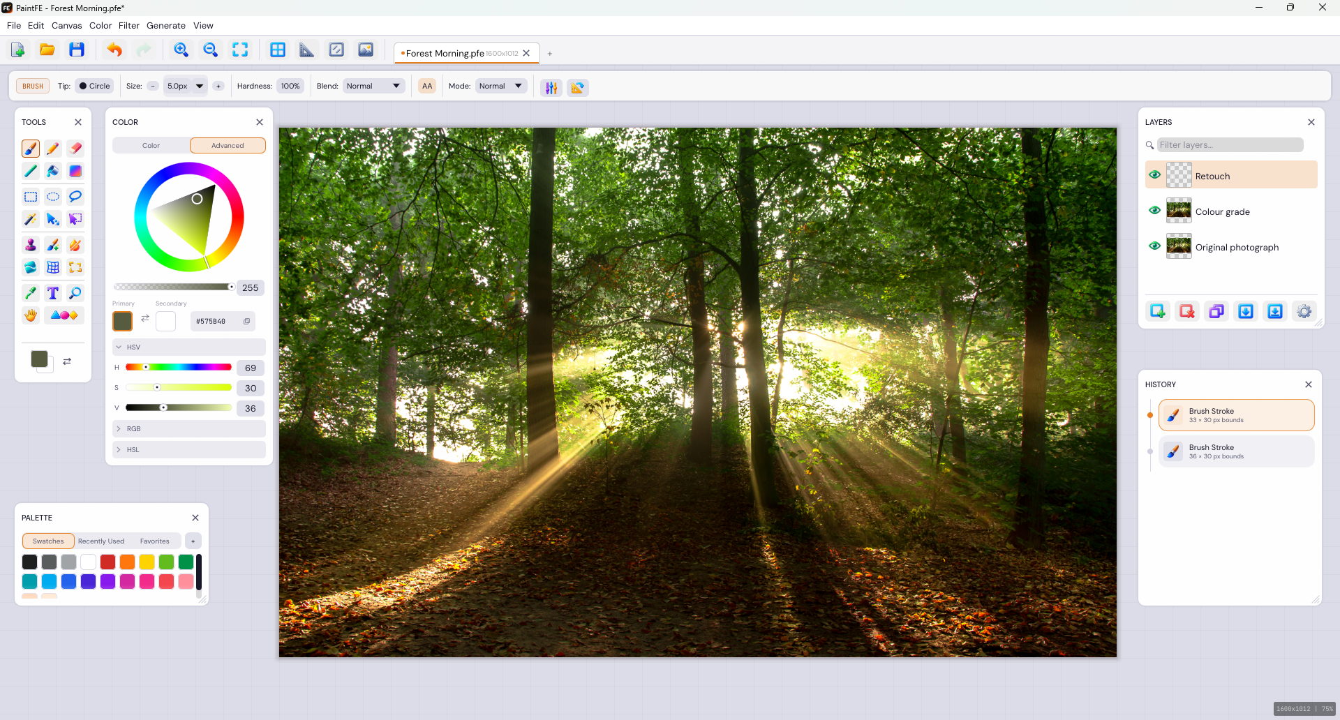 Photo editing in PaintFE light mode with the colour wheel, palette, layers and brush history